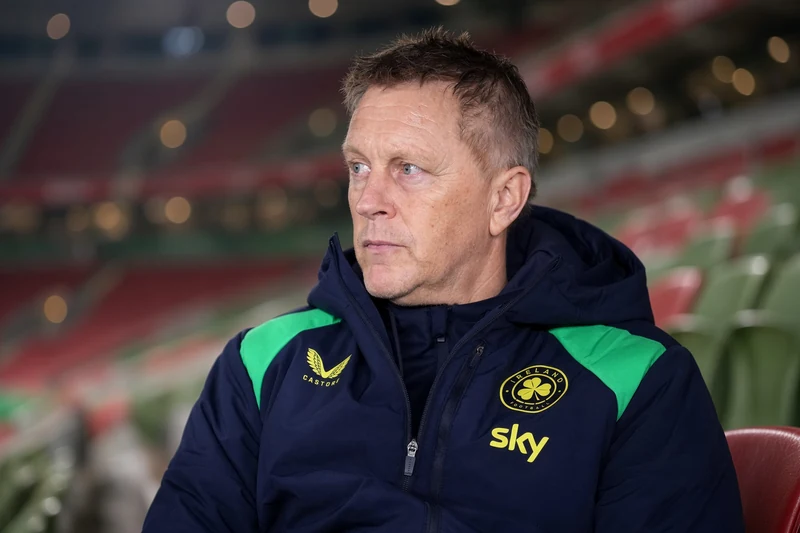 Heimir Hallgrimsson ct Irlanda in tuta nazionale su panchina stadio; illustrazione editoriale IA non documentaria.