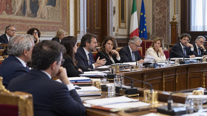 Audizione in una commissione parlamentare italiana sulla legge europea